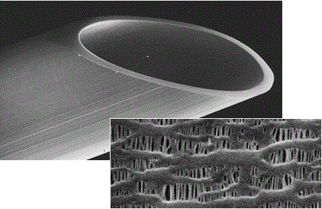 Hollow fiber membrane for degassing liquids